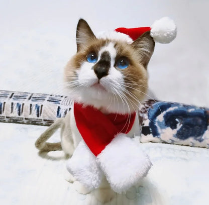 Christmas Outfit, Hat & Scarf Set for Pets